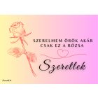 Kovácsoltvas örök rózsa – KÉK EZÜST ANTIK/KRÓM SZÁR