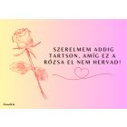 Kovácsoltvas örök rózsa – VÖRÖS/KRÓM