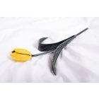 Kovácsoltvas örök tulipán - SÁRGA/ZÖLD SZÁR