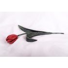 Kovácsoltvas tulipán - VÖRÖS/ZÖLD SZÁR